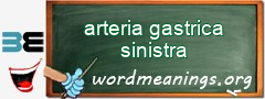 WordMeaning blackboard for arteria gastrica sinistra